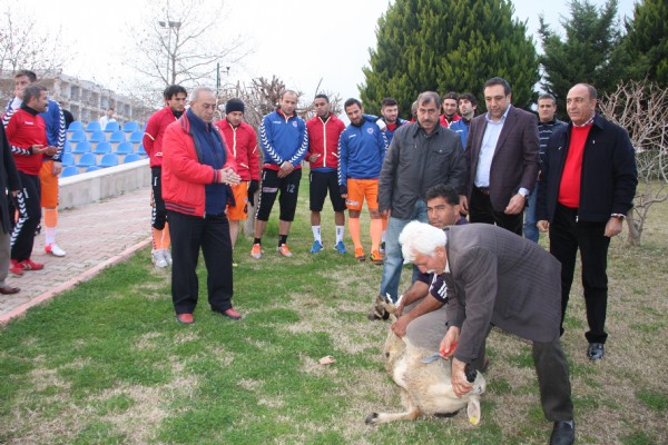 Mersin, kurban kesti!